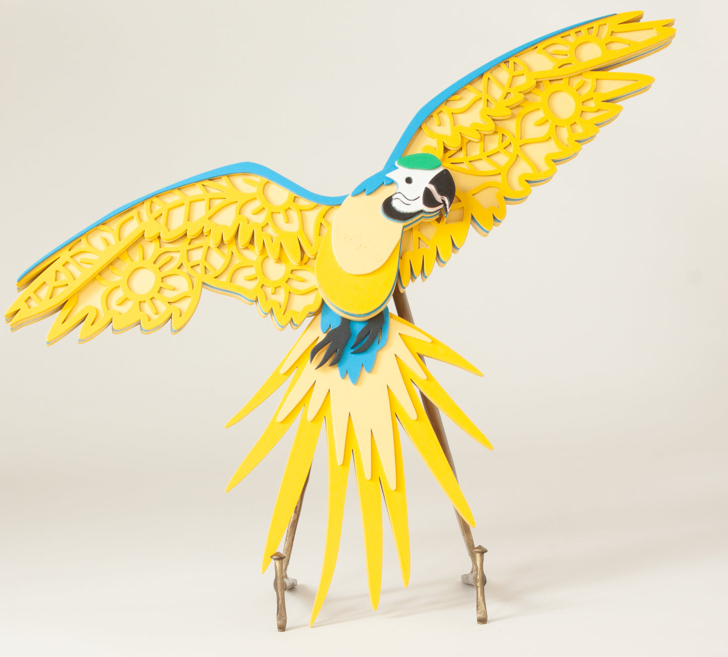 Blue and Gold Macaw