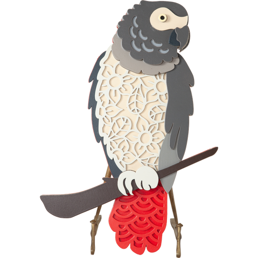 African Grey