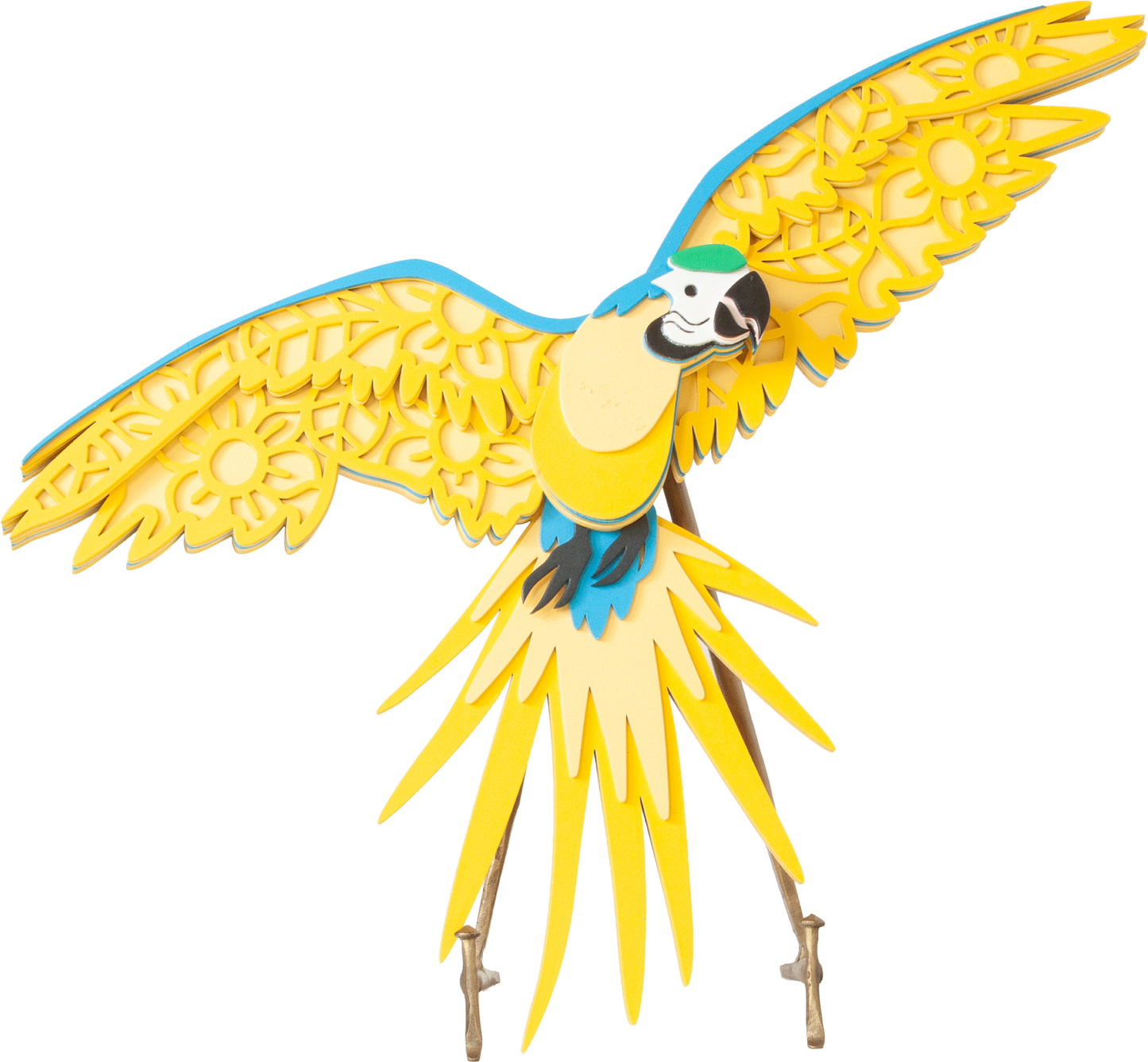 Blue and Gold Macaw