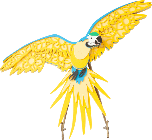 Blue and Gold Macaw