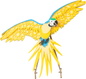 Blue and Gold Macaw