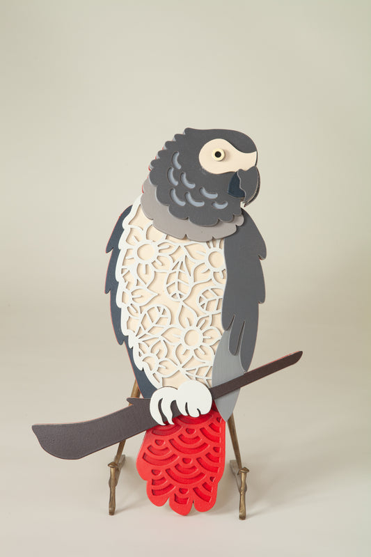 African Grey