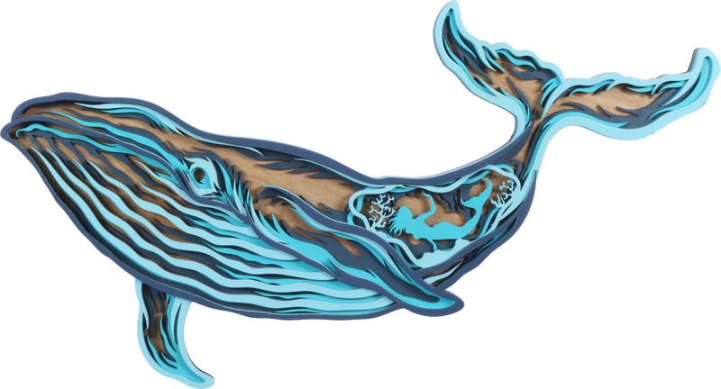 Humpback Whale