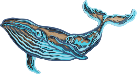 Humpback Whale