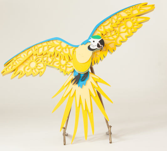 Blue and Gold Macaw